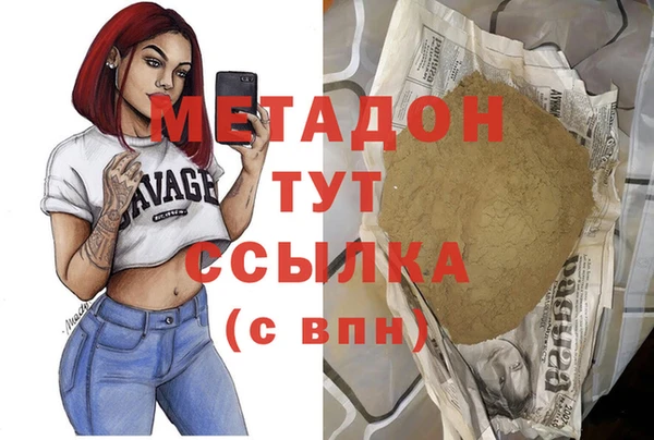 шишки Верея