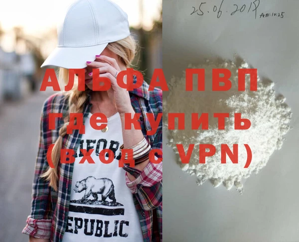 шишки Верея