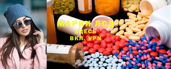 шишки Верея