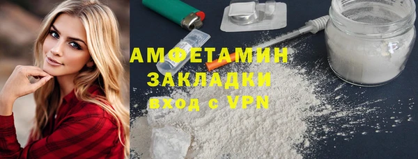 шишки Верея
