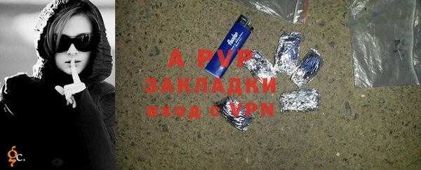 шишки Верея
