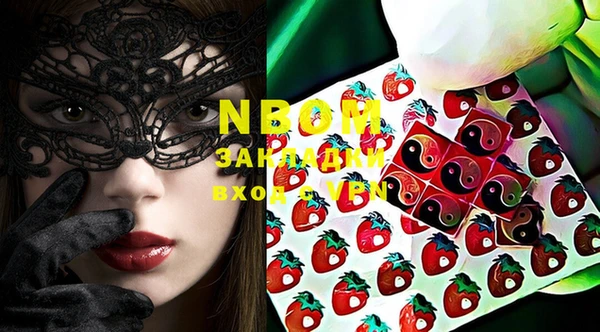шишки Верея